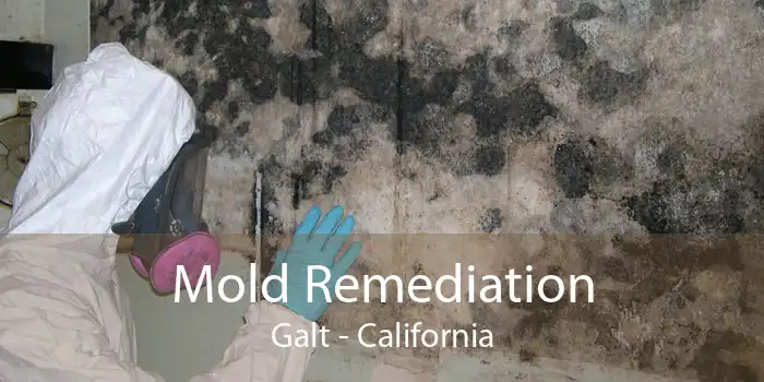 Mold Remediation Galt - California