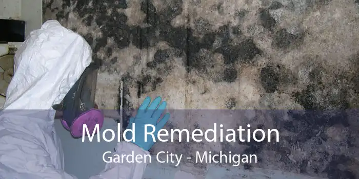 Mold Remediation Garden City - Michigan
