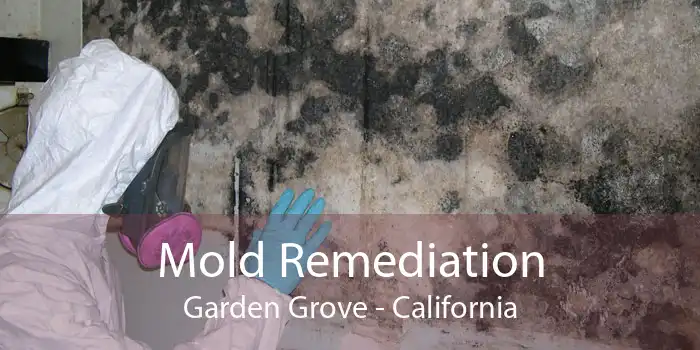 Mold Remediation Garden Grove - California