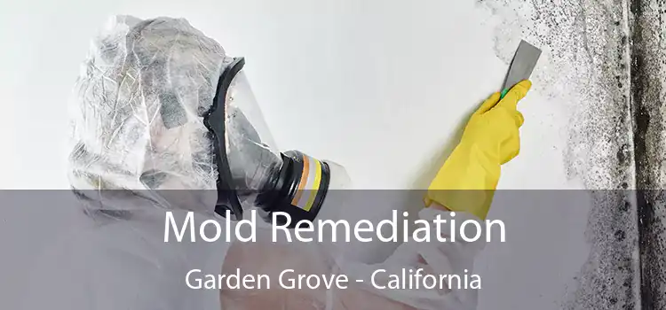 Mold Remediation Garden Grove - California