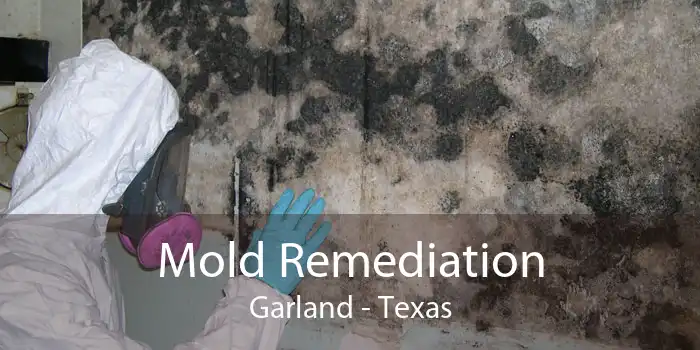 Mold Remediation Garland - Texas