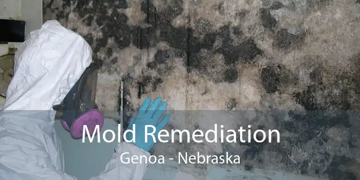 Mold Remediation Genoa - Nebraska