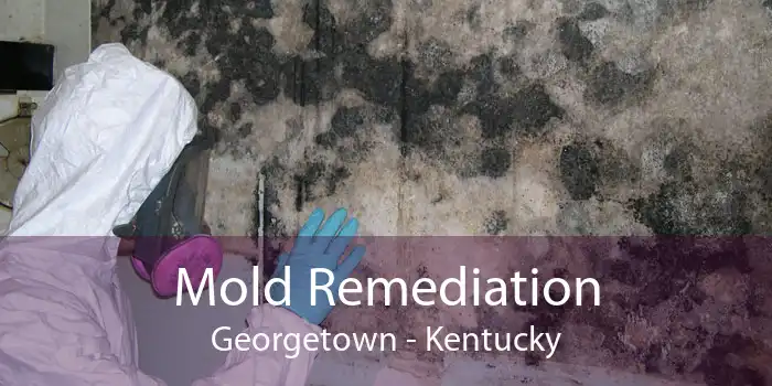 Mold Remediation Georgetown - Kentucky