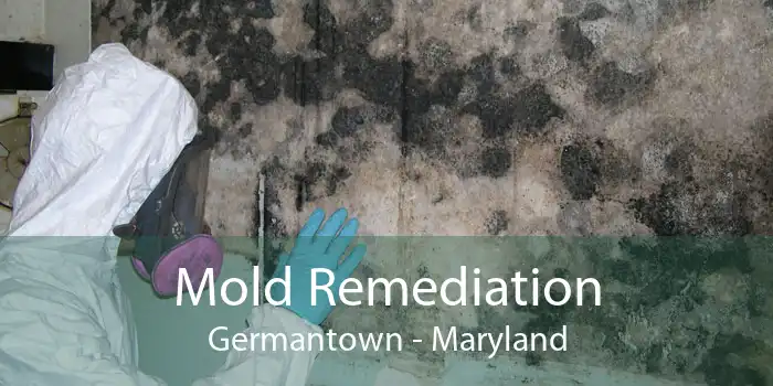 Mold Remediation Germantown - Maryland