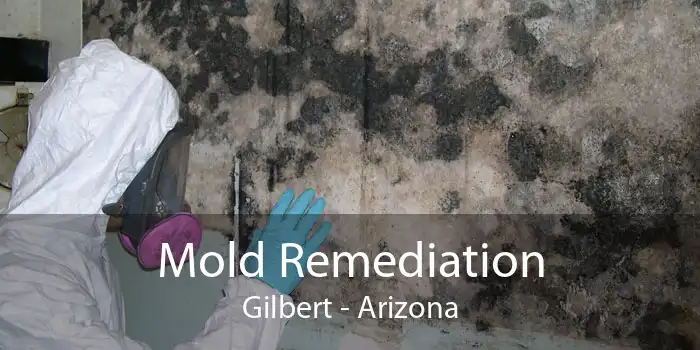 Mold Remediation Gilbert - Arizona