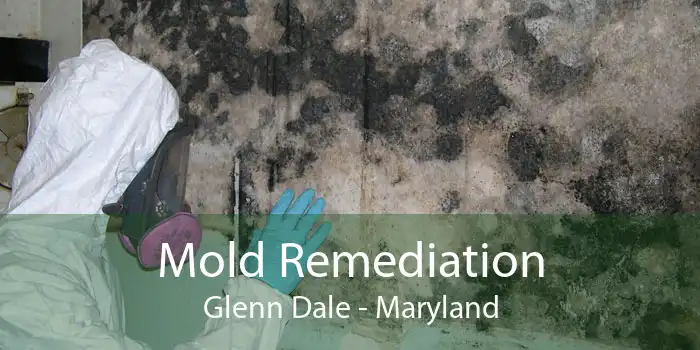 Mold Remediation Glenn Dale - Maryland