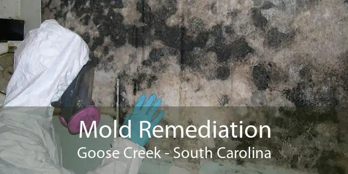 Mold Remediation Goose Creek - South Carolina