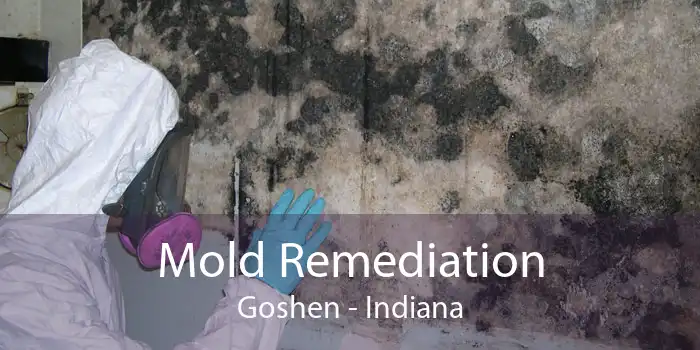 Mold Remediation Goshen - Indiana