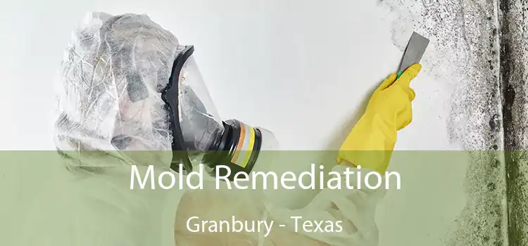 Mold Remediation Granbury - Texas