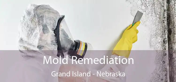 Mold Remediation Grand Island - Nebraska