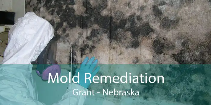 Mold Remediation Grant - Nebraska