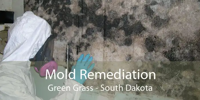 Mold Remediation Green Grass - South Dakota