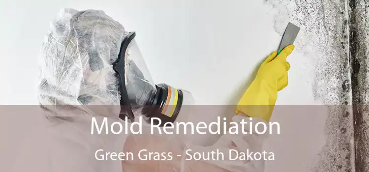 Mold Remediation Green Grass - South Dakota