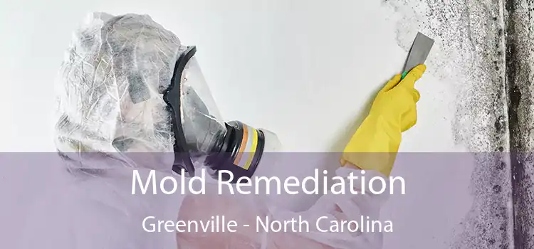 Mold Remediation Greenville - North Carolina