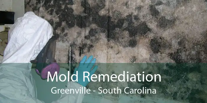 Mold Remediation Greenville - South Carolina