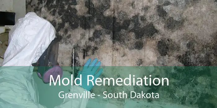 Mold Remediation Grenville - South Dakota