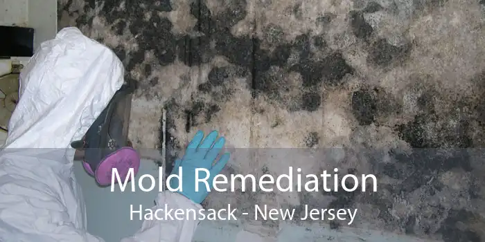 Mold Remediation Hackensack - New Jersey