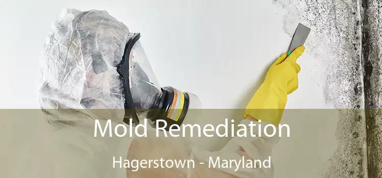 Mold Remediation Hagerstown - Maryland