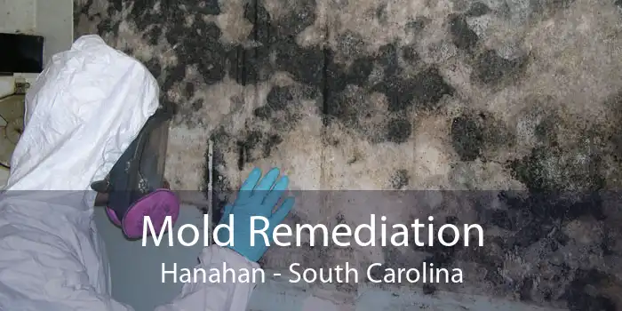 Mold Remediation Hanahan - South Carolina