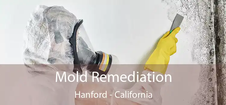 Mold Remediation Hanford - California