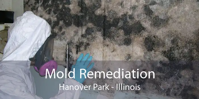 Mold Remediation Hanover Park - Illinois
