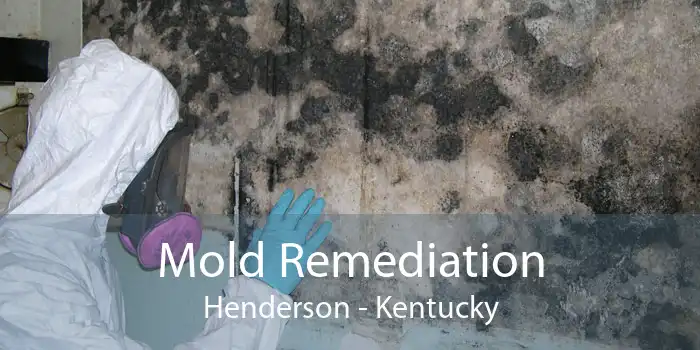 Mold Remediation Henderson - Kentucky