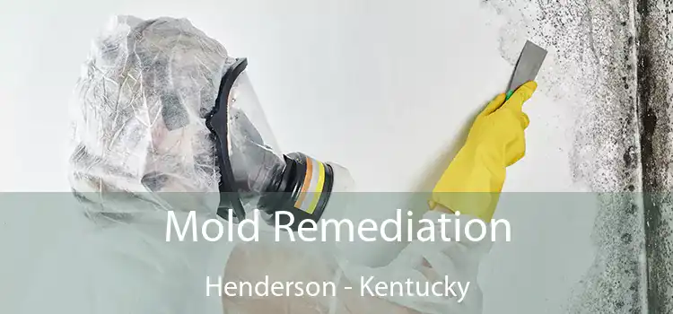 Mold Remediation Henderson - Kentucky