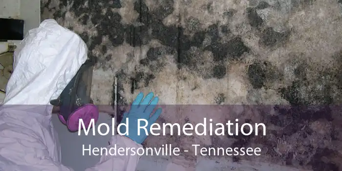 Mold Remediation Hendersonville - Tennessee