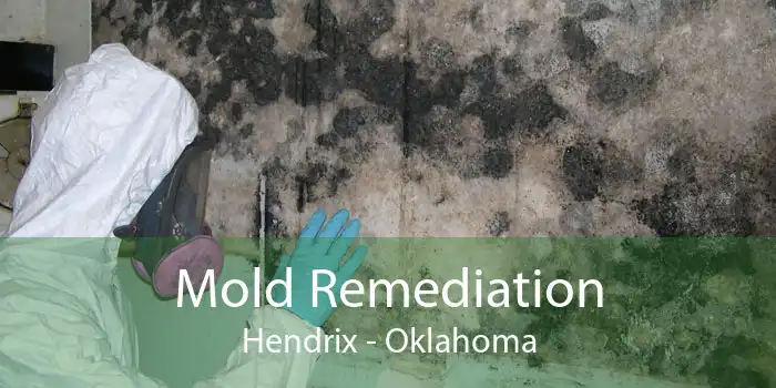 Mold Remediation Hendrix - Oklahoma