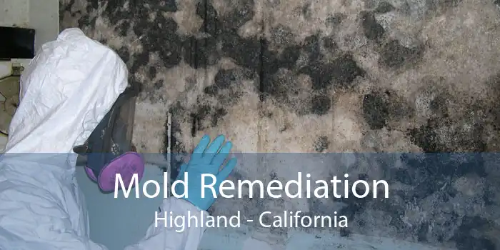 Mold Remediation Highland - California