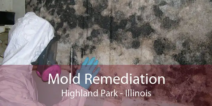 Mold Remediation Highland Park - Illinois