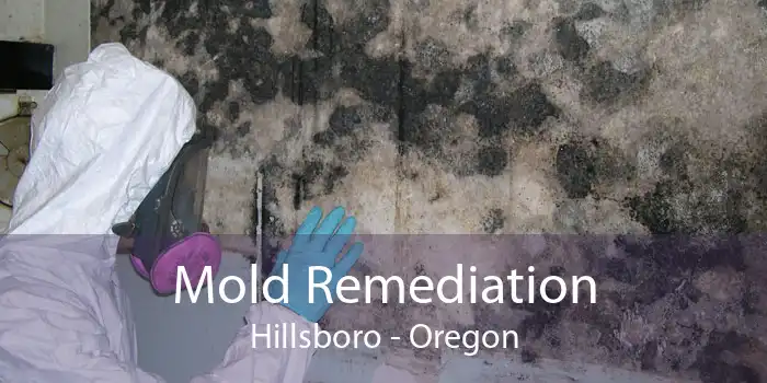 Mold Remediation Hillsboro - Oregon