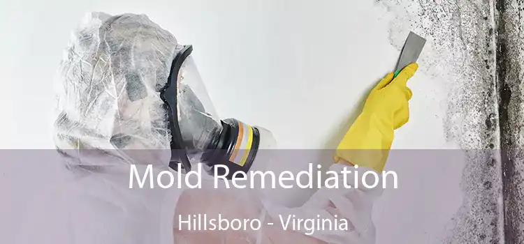 Mold Remediation Hillsboro - Virginia