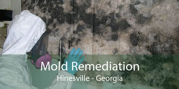 Mold Remediation Hinesville - Georgia