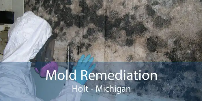 Mold Remediation Holt - Michigan