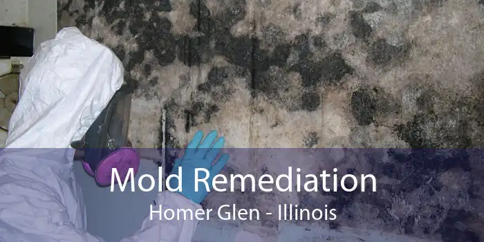 Mold Remediation Homer Glen - Illinois