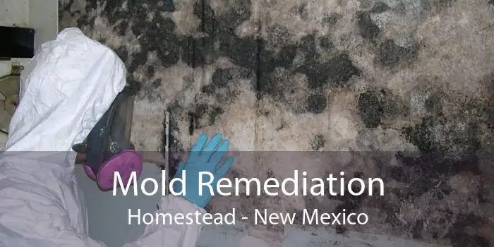 Mold Remediation Homestead - New Mexico