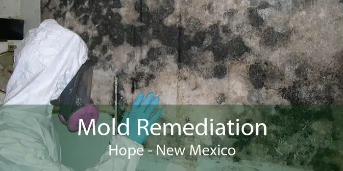 Mold Remediation Hope - New Mexico