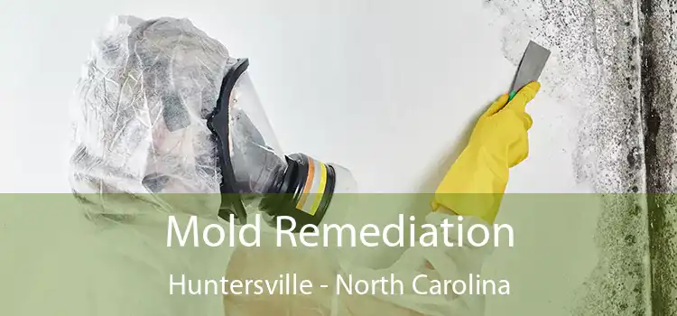 Mold Remediation Huntersville - North Carolina