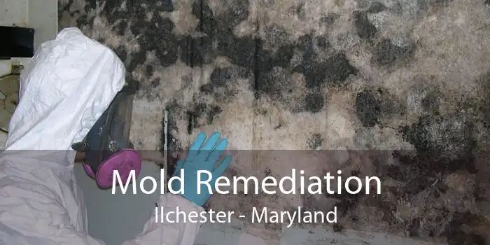 Mold Remediation Ilchester - Maryland