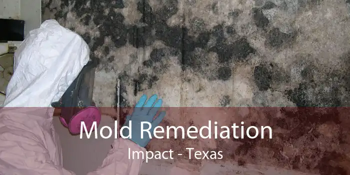 Mold Remediation Impact - Texas