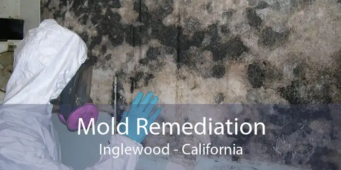 Mold Remediation Inglewood - California