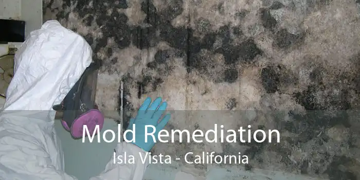 Mold Remediation Isla Vista - California