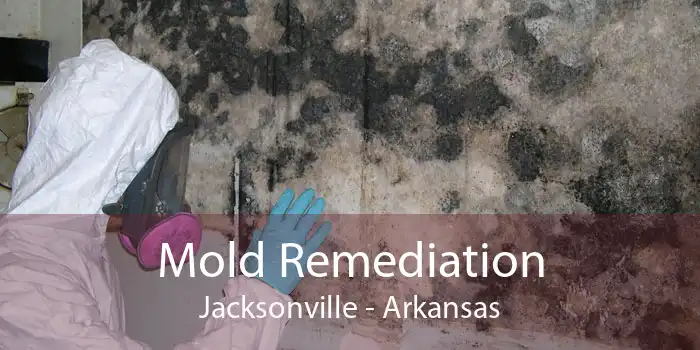 Mold Remediation Jacksonville - Arkansas