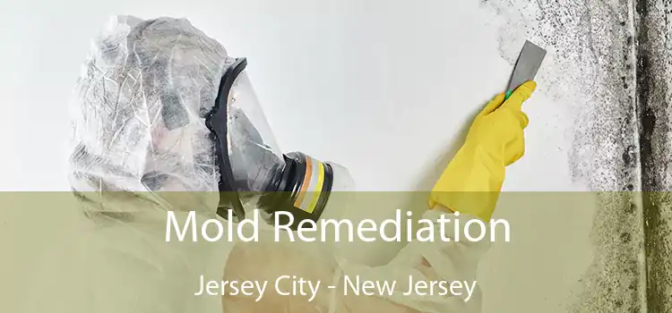 Mold Remediation Jersey City - New Jersey