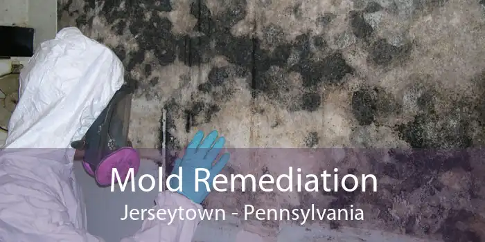 Mold Remediation Jerseytown - Pennsylvania