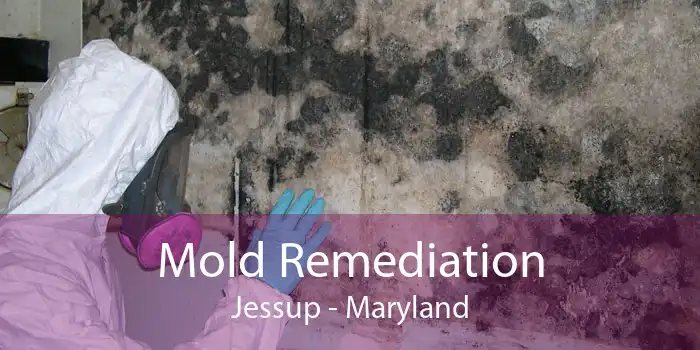Mold Remediation Jessup - Maryland