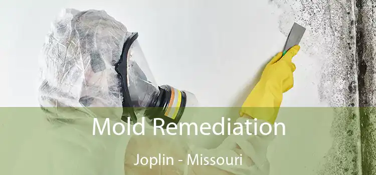 Mold Remediation Joplin - Missouri