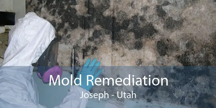 Mold Remediation Joseph - Utah