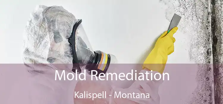 Mold Remediation Kalispell - Montana